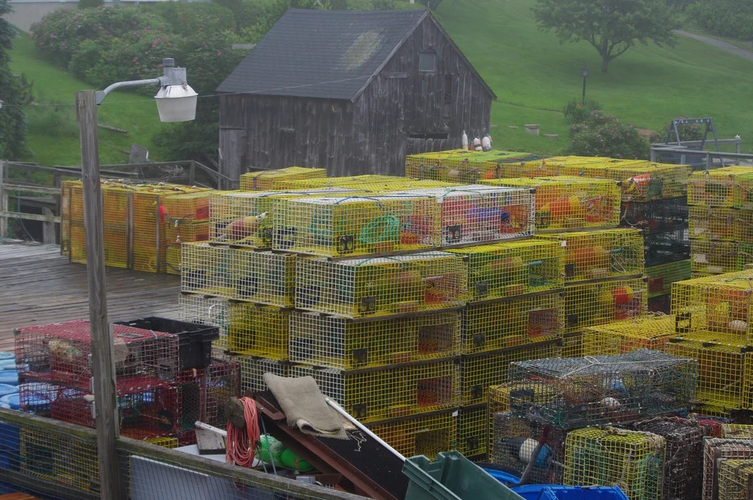 Shaw Fish Shaw's Fish & Lobster Wharf - New Harbor, ME Waterfront | On The Water ...